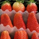 장희농장 이미지