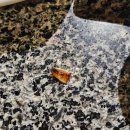 세연정 | [동래] 세연정 / 토마호크 모듬 내돈내산 솔직후기