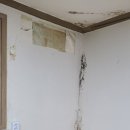 치명경로당 이미지