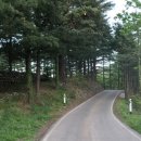 신왕초 부연분교장 이미지