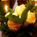 리츠프라자 호텔 이미지