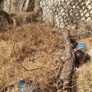 솔숲농원 이미지