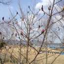 노내골농장 이미지