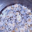 자연산잡버섯으로 조리한 버섯찌개가 왔어요 (통신으로 판매완료) 이미지