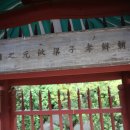양차원 정려 티스토리