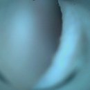 금천종합동물병원 이미지