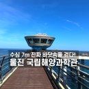 울진 가볼만한곳 수심 7m 바닷속을 걷다! 미션 놀이터와 국립해양과학관 무료 관람 완벽 후기