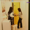 스테이청춘 이미지