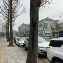 개성손만두요리전문점 | [미추홀/학익] 든든하고 해장에도 좋은 만두전골 맛집 - 개성손만두요리전문점 / 내돈내산 솔직후기