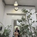 바질코드 | 전포 양식 맛집 베이비치크 새우로제리조또 부라타치즈 바질 파스타 2인 후기