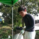 엽돈재가든 이미지