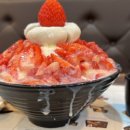 설빙울진