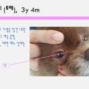 청담동물병원 이미지