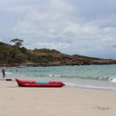 스킨바나나 이미지