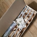 플랜츠비 | 플랜터스 식물등 | 겨울 실내 식물 키우기 &amp; 수경 재배 = 유료 햇빛 + 유료 바람 [플랜터스 서포터즈]