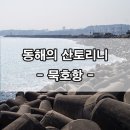 동해의 산토리니! 묵호항 겨울여행 후기