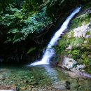 산나물 도시락 코스 이미지