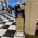 신세계 백화점 강남점 별별춘식 팝업스토어 후기 4.26~5.8