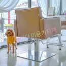 살롱드제니 이미지