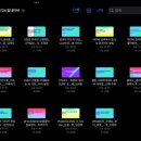 단(DAN) | DAN24 단24 팀네이버 컨퍼런스 현장후기