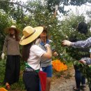 진교중학교 이미지