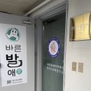 바른발애 - 양평군 | 바른발애