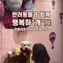 행복하개 반려동물 센터 | 강동아트센터에서 행복하개 반려동물과 함께하는 꿈