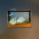 목계숲 2 | 용산 맛집 목계화원🐔, 청모&amp;데이트로 완벽한 '닭 시그니처 정식' (남자친구랑 내돈내산💸)