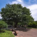 두계근린 이미지