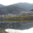 내천농장 이미지