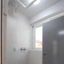 베네스트로즈 이미지