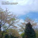 서광리-6 이미지