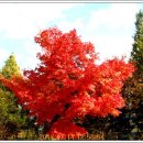 부평공원 이미지