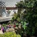 설맥 대구월성점 이미지