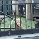 대덕환경산업(주) 이미지