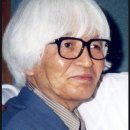 시바나라 이미지