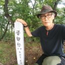 상동림 Daum카페