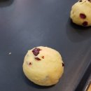 까망토끼브레드 이미지