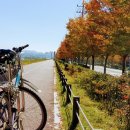 판문동 습지원 남강둔치 | 진주 남강 자전거도로