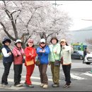 천북4 Daum카페