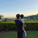 해비치 | [강화도] 아이와 가기 좋은 숙소, 해비치펜션 솔직후기