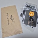 [기억나무 사진관] 두돌 사진 내돈내산 방문후기