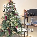 산야 | 원주 감성 숙소 산야 후기｜아현재 돌촬영 전날 머문 독채 숙소