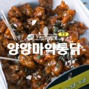양양 시장 닭강정 맛집 양양마약통닭