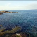 갈매기횟집 이미지