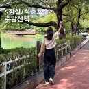 석촌공원길 | 걷기 좋은 잠실 석촌호수 한바퀴 주차장 안내, 미술관 더갤러리 호수