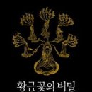 황금꽃 이미지