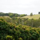 동부농장 이미지