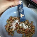 pet19너2463 | 닥터페렌들리 :: 고양이유산균 후기 닥터페렌들리 맥스바이옴 우리 집 고양이 장 건강 기호성까지 완벽