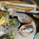 [전남 순천] 술벗상회 - 조례동 뒷골목 구석 깊이 숨은 현지인 숙성회 맛집 해산물 술집 꿀팁